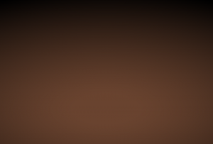 茶色いもの一覧