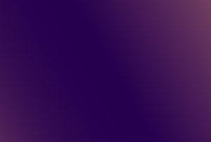 紫色のもの一覧